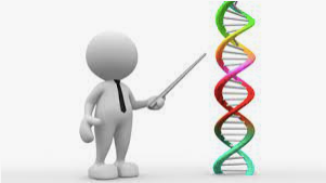 Are Epigenetics the Key to Helping Bulldogs Thrive?