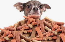 Pet Treat Market Expected to Exceed $122.1 billion by 2023