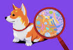 The Gut Microbiome and our Dogs