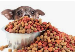 Purina Dog Food Could be Deadly