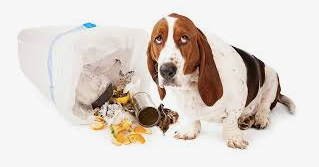 The Truth About Prescription Dog Food