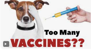 The Problem with Vaccines