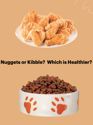 Nuggets or Kibble?  Which is Healthier?